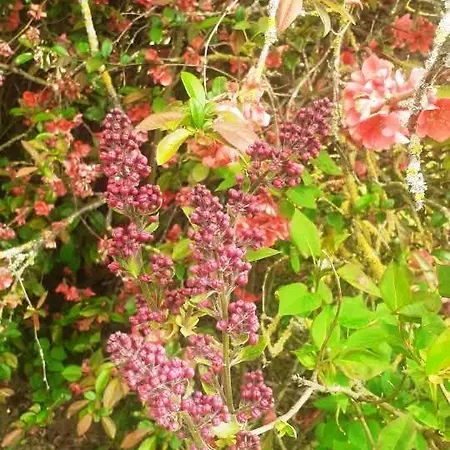 Le Confort Sans Chichis, Un Cocon Pour 1 A 6 Voyageurs Σπίτι διακοπών *