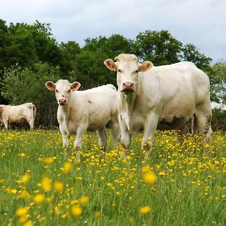 Le Confort Sans Chichis, Un Cocon Pour 1 A 6 Voyageurs * Lapeyrouse