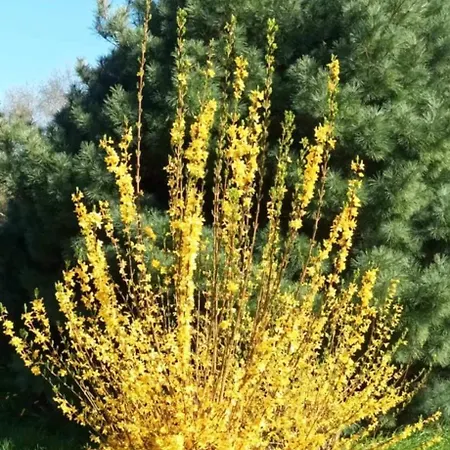 Σπίτι διακοπών Le Confort Sans Chichis, Un Cocon Pour 1 A 6 Voyageurs *