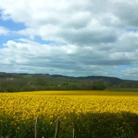 Le Confort Sans Chichis, Un Cocon Pour 1 A 6 Voyageurs Σπίτι διακοπών *