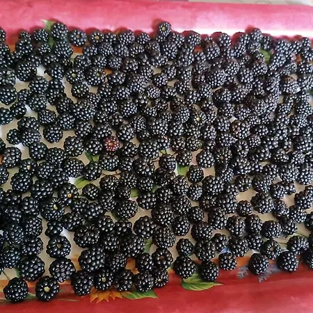 Σπίτι διακοπών Le Confort Sans Chichis, Un Cocon Pour 1 A 6 Voyageurs *